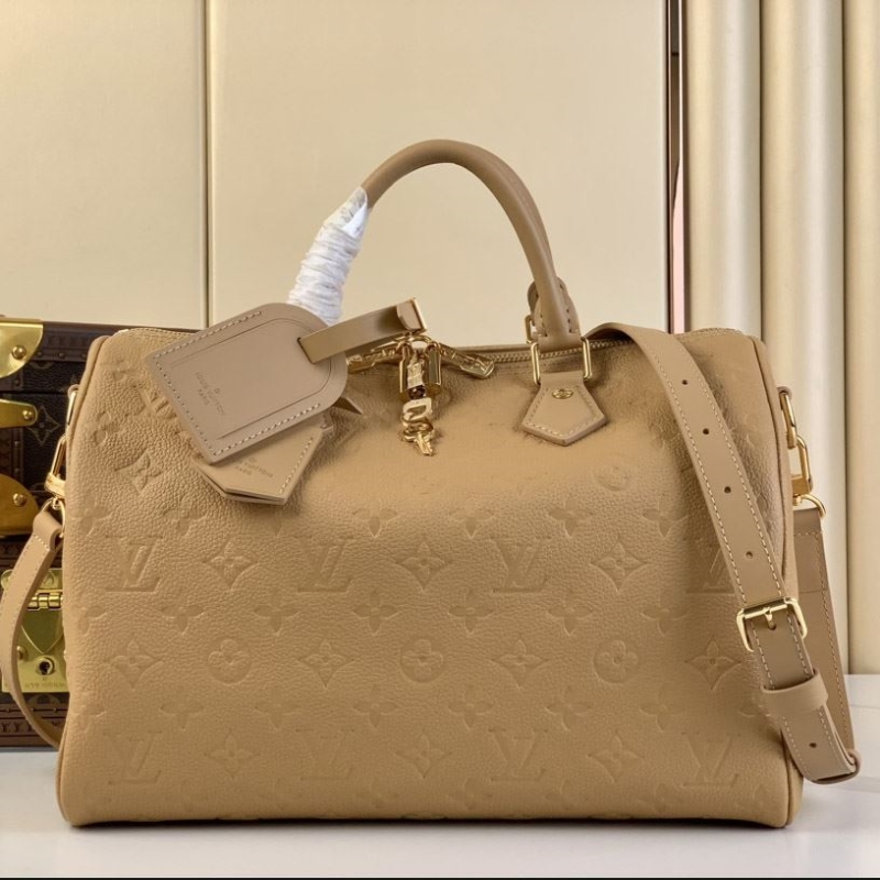 LV Travel Bags